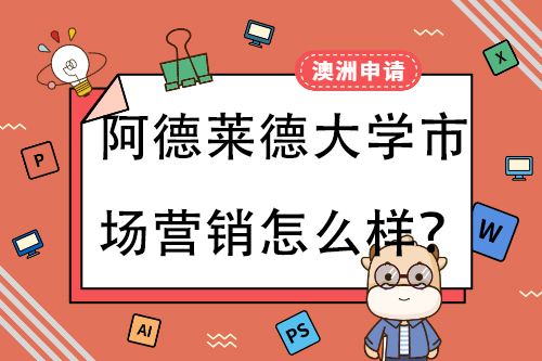 阿德莱德大学市场营销怎么样？